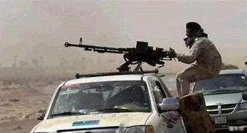 外国抢买国产车视频,国产车在国际市场的火爆现象