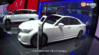 国产车标记视频