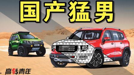 h在线观看视频国产,h在线观看，领略国产视频的魅力