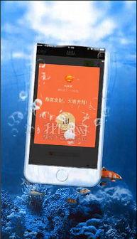 国产小视频合集mp4,精彩纷呈的瞬间回顾