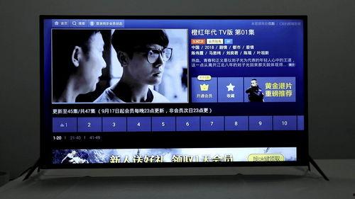 国产型视频免费在线观看