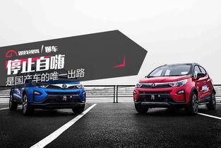 国产车堵住出路视频下载,视频揭秘如何堵住出路