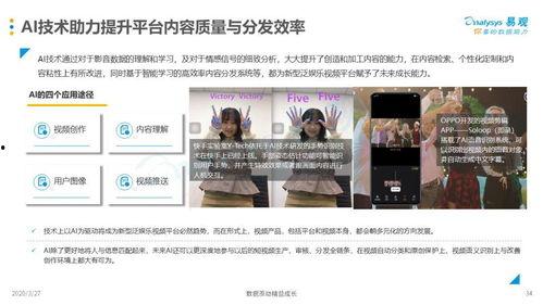 国产综艺解析视频网站,视频网站背后的精彩故事