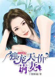 国产言情小说解说视频下载,浪漫情缘，一网情深