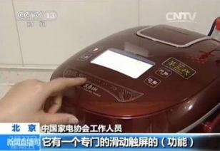 国产电饭煲测试方法视频