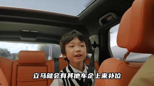 国产电车真相大全视频