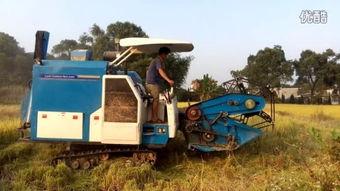 国产白菜收割机视频大全,创新农业机械助力丰收