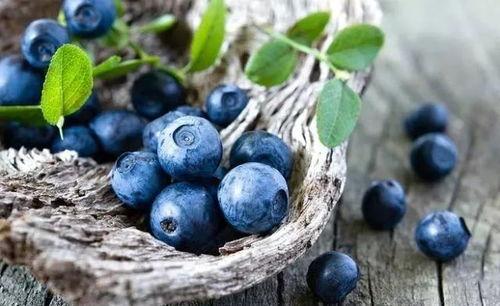 蓝莓视频国产福利视频,国产福利视频的精彩呈现